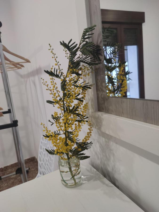 科爾多瓦La Casa De La Mimosa公寓 外观 照片