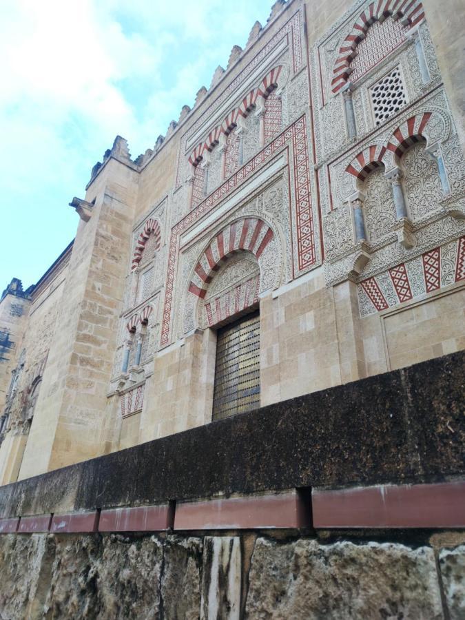 科爾多瓦La Casa De La Mimosa公寓 外观 照片